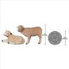 Design Toscano Merino Ewe Life-Size Lambs Statue Collection: Set of Two NE9110012